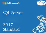 Licenza illimitata di norma di Microsoft SQL Server 2017