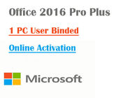 Professionista di Microsoft Office 2016 del computer più il codice chiave