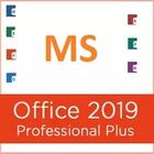 Più di Microsoft Office 2019 multipli di lingua di Digital pro