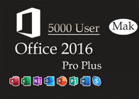 Licenze globali di Digital del volume di versione di pro più dell'ufficio 2016 dell'utente di Mak 5000