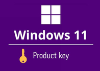 Pro software al minuto professionale di Microsoft Windows 11 del software di sistema operativo Win11
