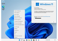 Pro software al minuto professionale di Microsoft Windows 11 del software di sistema operativo Win11